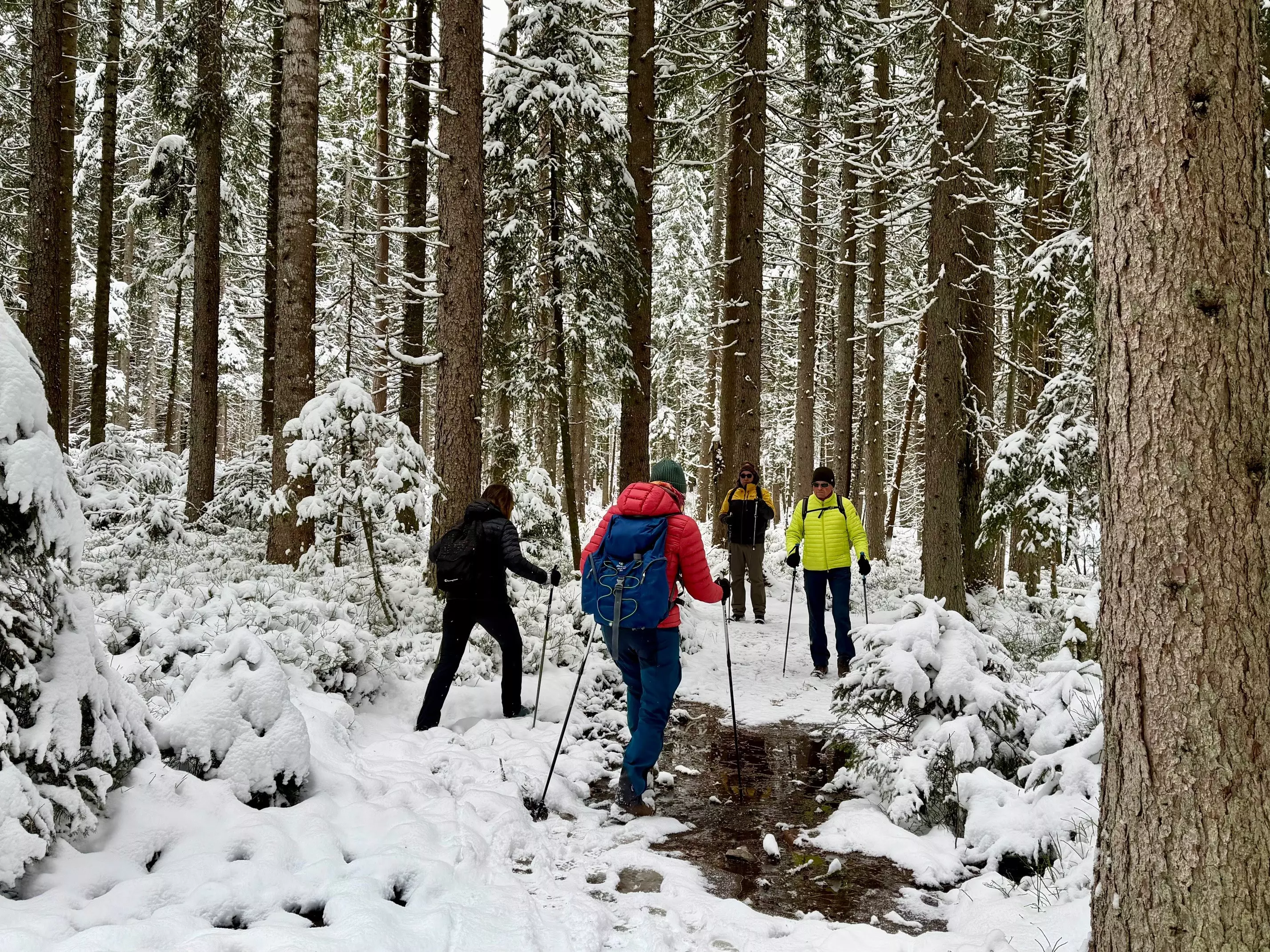 Vitalfasten Ute Hesse, Alpenblick Schwarzwald, Fasten, Wandern, Auszeit, Heilfasten im Schwarzwald, Fasten in Oberstaufen