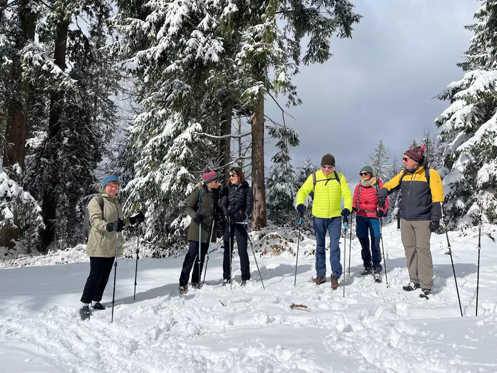 Vitalfasten Ute Hesse, Alpenblick Schwarzwald, Fasten, Wandern, Auszeit, Heilfasten im Schwarzwald, Fasten in Oberstaufen