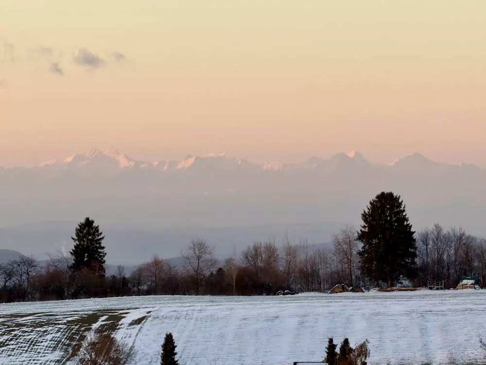 Vitalfasten Ute Hesse, Alpenblick Schwarzwald, Fasten, Wandern, Auszeit, Heilfasten im Schwarzwald, Fasten in Oberstaufen