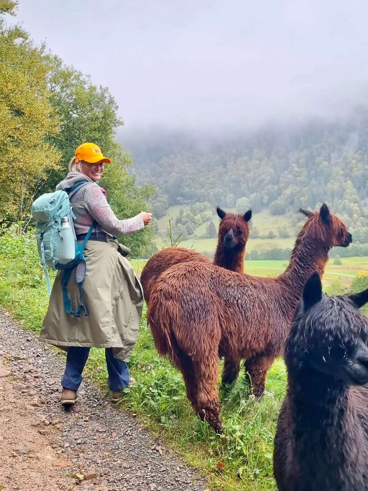 Steinhausers Hochbühl, Vitalfasten, Buchinger Fasten, bewegung, Gesundheit, fasten, wandern, Ute Hesse
