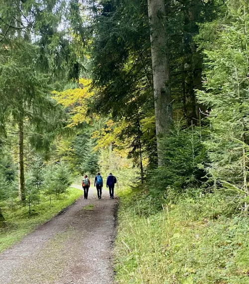 Ute Hesse, Vitalcoach, Fasten in Hochbühl, Oberstaufen