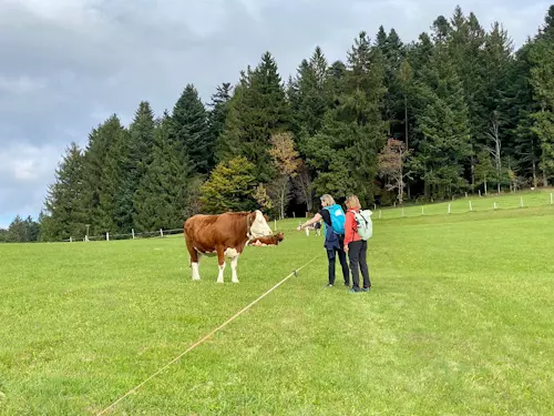 Ute Hesse, Vitalcoach, Fasten in Hochbühl, Oberstaufen
