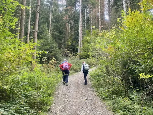 Ute Hesse, Vitalcoach, Fasten in Hochbühl, Oberstaufen